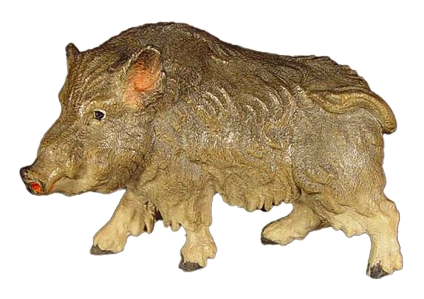 Wild boar