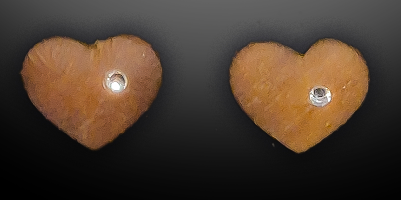 Walnut heart earrings