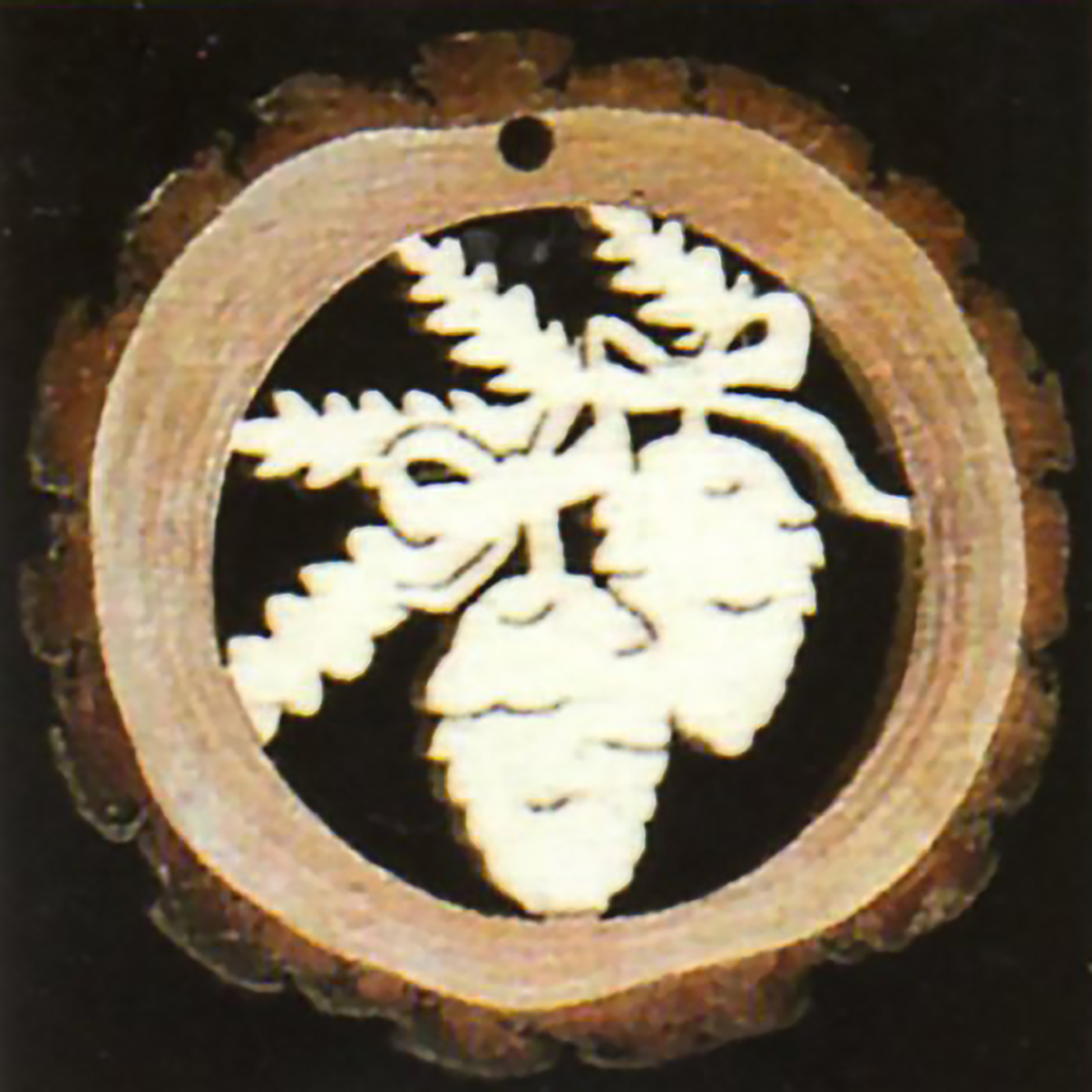 Rindenoptik-Tannenzapfen