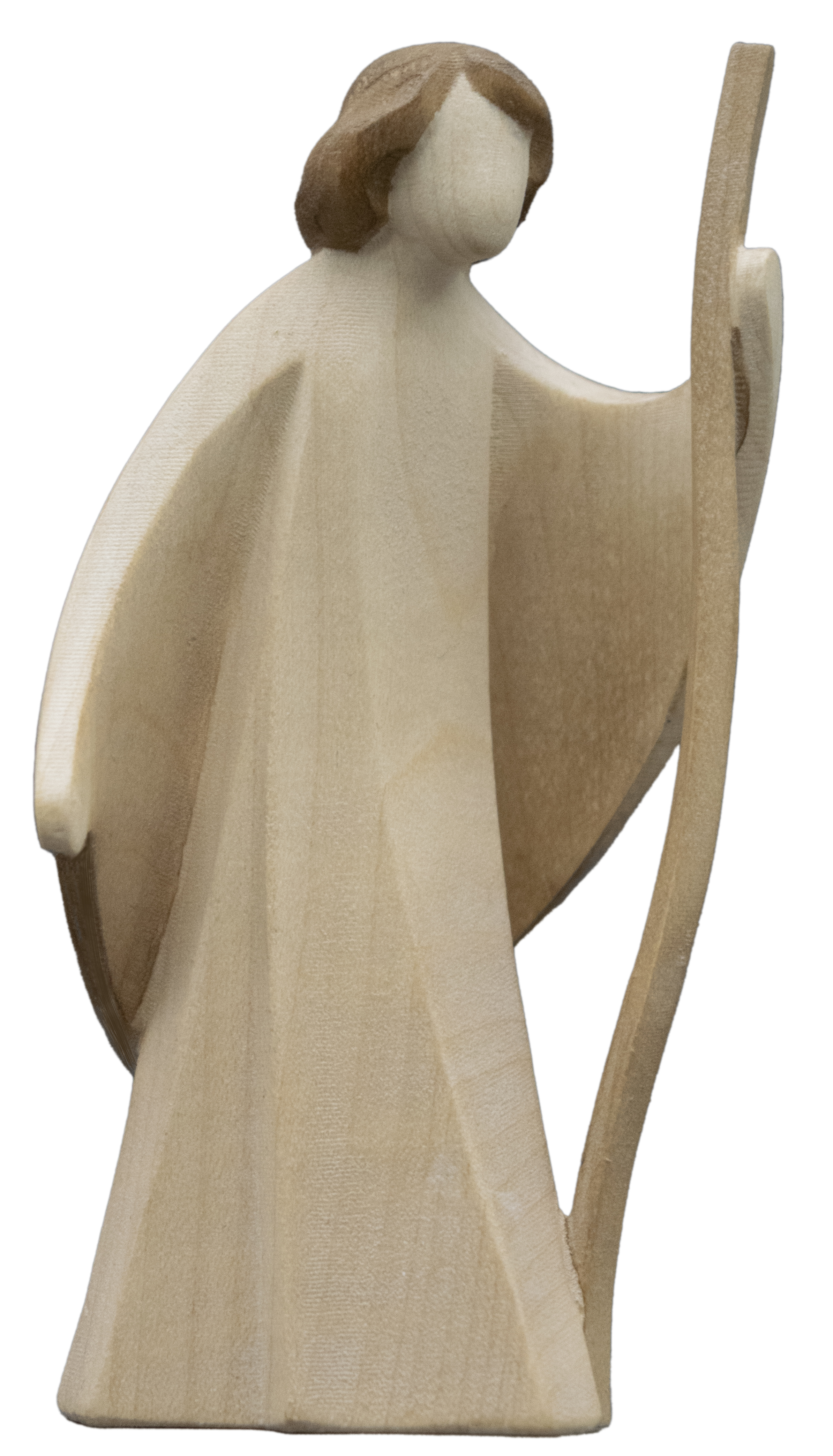 Junger Schäfer mit Stock